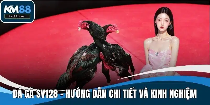 Đá Gà SV128 - Hướng Dẫn Chi Tiết Và Kinh Nghiệm Đặt Cược Casino