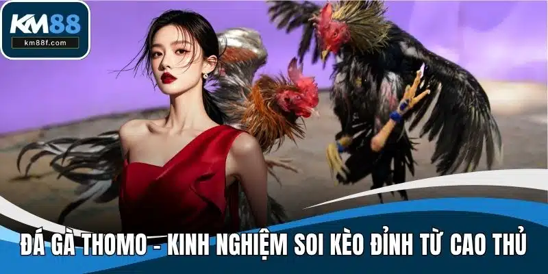 Đá Gà Thomo - Kinh Nghiệm Soi Kèo Đỉnh Từ Cao Thủ Năm 2025
