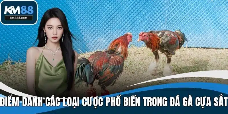 Điểm danh các loại cược phổ biến trong đá gà cựa sắt