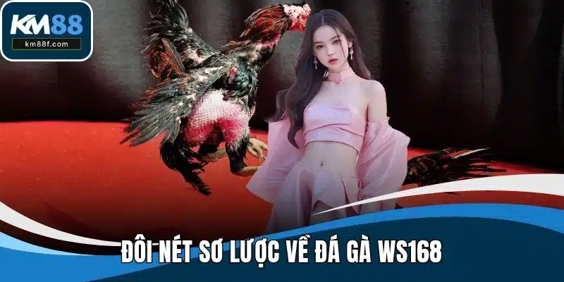 Đôi nét sơ lược về đá gà WS168