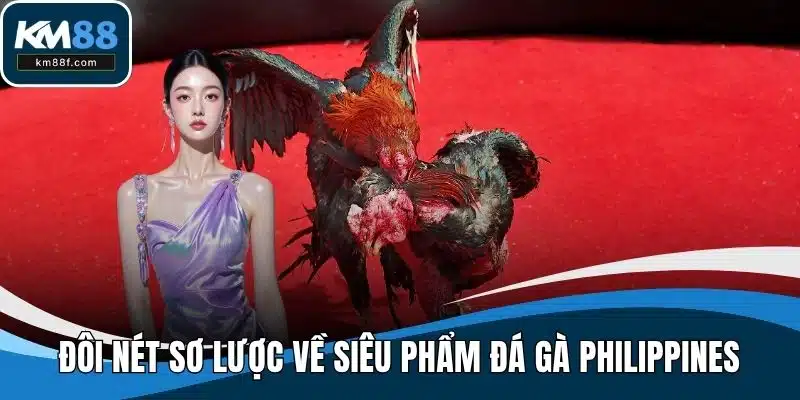 Đôi nét sơ lược về siêu phẩm đá gà Philippines