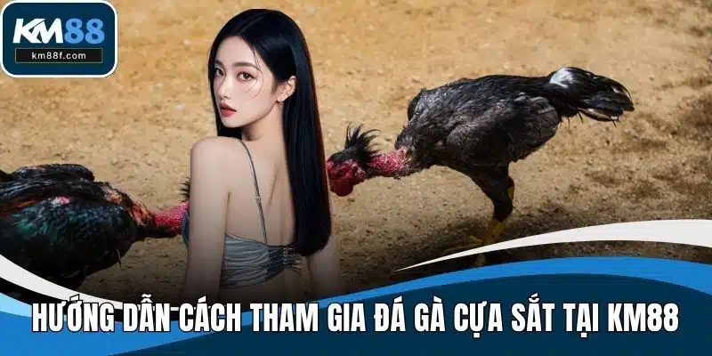 Hướng dẫn cách tham gia đá gà cựa sắt tại KM88