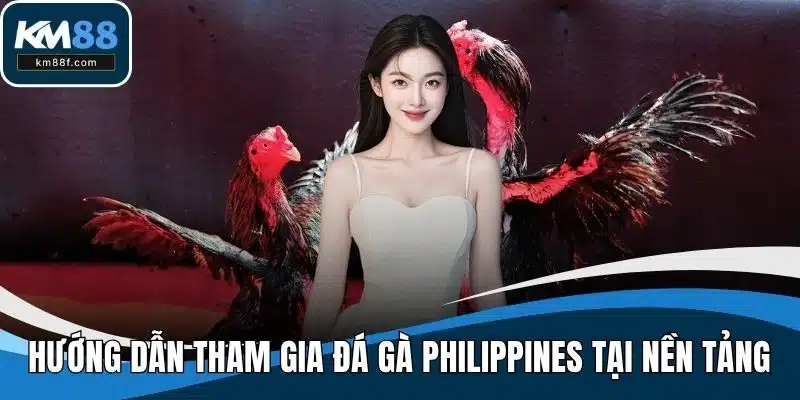 Hướng dẫn tham gia đá gà Philippines tại nền tảng
