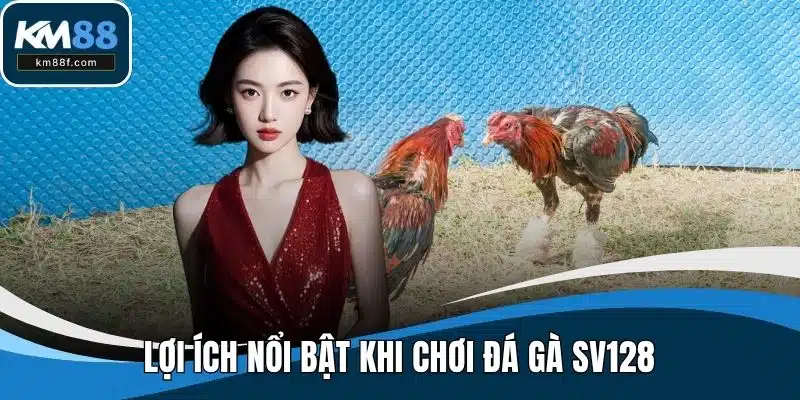 Lợi ích nổi bật khi chơi đá gà SV128