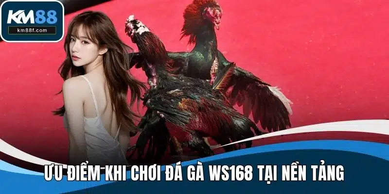 Ưu điểm khi chơi đá gà WS168 tại nền tảng